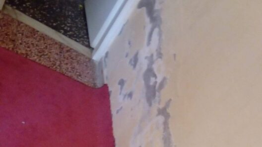 Πάτρα: Κινδυνεύει σπίτι από πλημμύρες - Οικογένεια σε απόγνωση ΦΩΤΟ