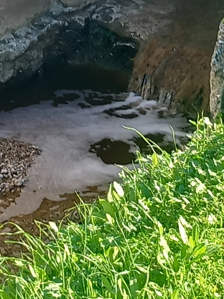 Πάτρα: Σκάει θέμα στον ΧΥΤΑ Ξερόλακκας - Πληροφορίες του Patrapress.gr για «οικολογική καταστροφή»