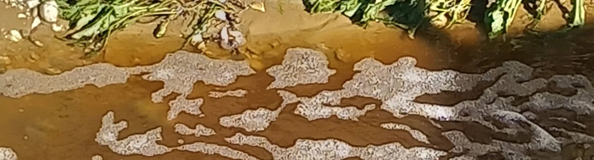 Πάτρα: Σκάει θέμα στον ΧΥΤΑ Ξερόλακκας - Πληροφορίες του Patrapress.gr για «οικολογική καταστροφή»