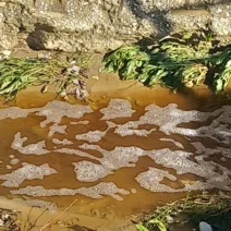 Πάτρα: Σκάει θέμα στον ΧΥΤΑ Ξερόλακκας - Πληροφορίες του Patrapress.gr για «οικολογική καταστροφή»