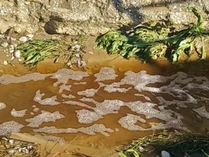 Πάτρα: Σκάει θέμα στον ΧΥΤΑ Ξερόλακκας - Πληροφορίες του Patrapress.gr για «οικολογική καταστροφή»