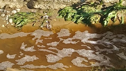 Πάτρα: Σκάει θέμα στον ΧΥΤΑ Ξερόλακκας - Πληροφορίες του Patrapress.gr για «οικολογική καταστροφή»