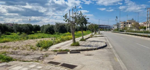 Πάτρα: «Αγριο κλάδεμα» δέντρων σε πολλά σημεία της πόλης, εγείρουν ερωτήματα ΦΩΤΟ