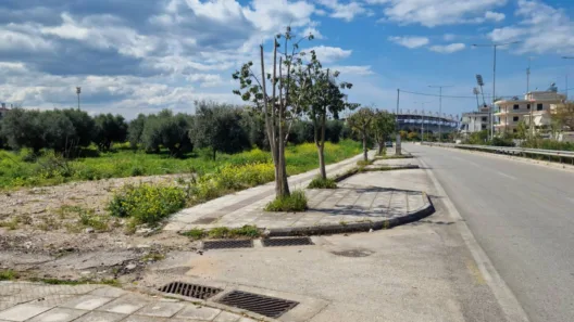 Πάτρα: «Αγριο κλάδεμα» δέντρων σε πολλά σημεία της πόλης, εγείρουν ερωτήματα ΦΩΤΟ