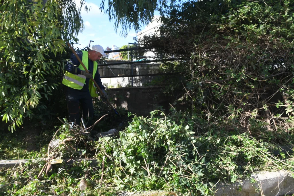 Πάτρα: Μικρές «ζούγκλες» το πάρκινγκ Αγίου Διονυσίου και η πλατεία Δροσοπούλου ΦΩΤΟ