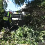Πάτρα: Μικρές «ζούγκλες» το πάρκινγκ Αγίου Διονυσίου και η πλατεία Δροσοπούλου ΦΩΤΟ