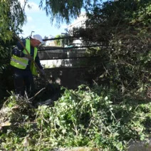 Πάτρα: Μικρές «ζούγκλες» το πάρκινγκ Αγίου Διονυσίου και η πλατεία Δροσοπούλου ΦΩΤΟ