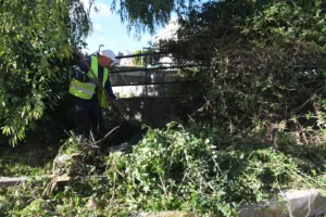 Πάτρα: Μικρές «ζούγκλες» το πάρκινγκ Αγίου Διονυσίου και η πλατεία Δροσοπούλου ΦΩΤΟ