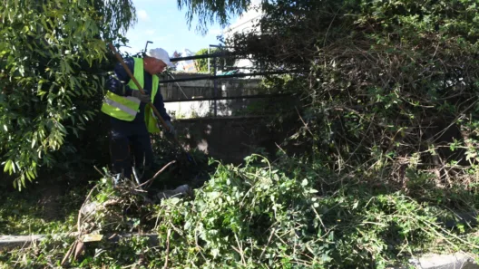 Πάτρα: Μικρές «ζούγκλες» το πάρκινγκ Αγίου Διονυσίου και η πλατεία Δροσοπούλου ΦΩΤΟ