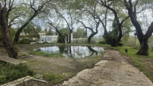 Κεφαλόβρυσο Πατρών: Εικόνες ντροπής σε πλατεία «λίμνη» - Παγίδες για τους πολίτες ΦΩΤΟ