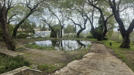 Κεφαλόβρυσο Πατρών: Εικόνες ντροπής σε πλατεία «λίμνη» - Παγίδες για τους πολίτες ΦΩΤΟ