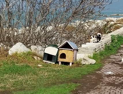 Πάτρα: Μία πράξη αγάπης και...δύο ζευγάρια στο Νότιο Πάρκο ΦΩΤΟ 25 Πάτρα: Μία πράξη αγάπης και...δύο ζευγάρια στο Νότιο Πάρκο ΦΩΤΟ