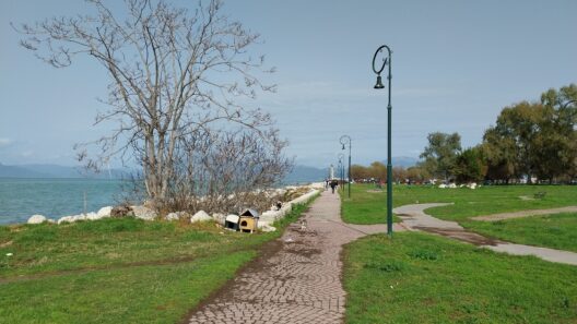 Πάτρα: Μία πράξη αγάπης και...δύο ζευγάρια στο Νότιο Πάρκο ΦΩΤΟ