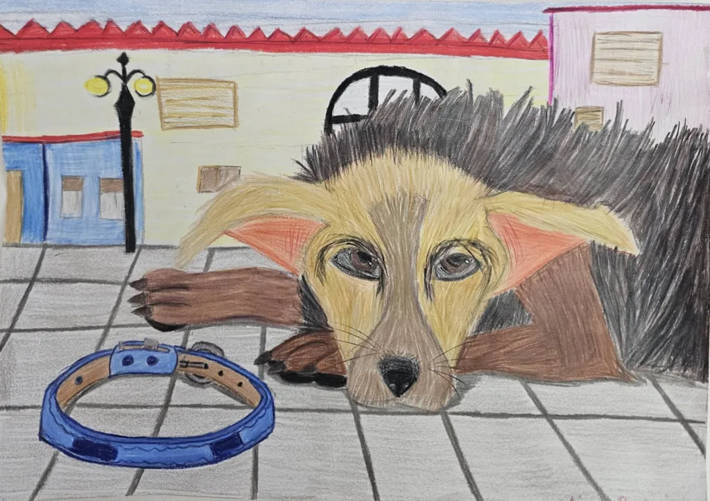 Ο Διαγωνισμός Ζωγραφικής «Αδέσποτες Ψυχές» του Δήμου Αιγιάλειας ΦΩΤΟ