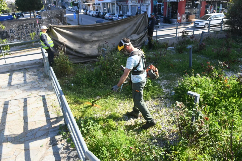 Πάτρα: Μικρές «ζούγκλες» το πάρκινγκ Αγίου Διονυσίου και η πλατεία Δροσοπούλου ΦΩΤΟ