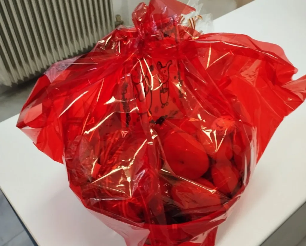 Μαθητές του 15ου Δημοτικού Πάτρας, στην «Κιβωτό της Αγάπης» με Πασχαλινά δώρα ΦΩΤΟ