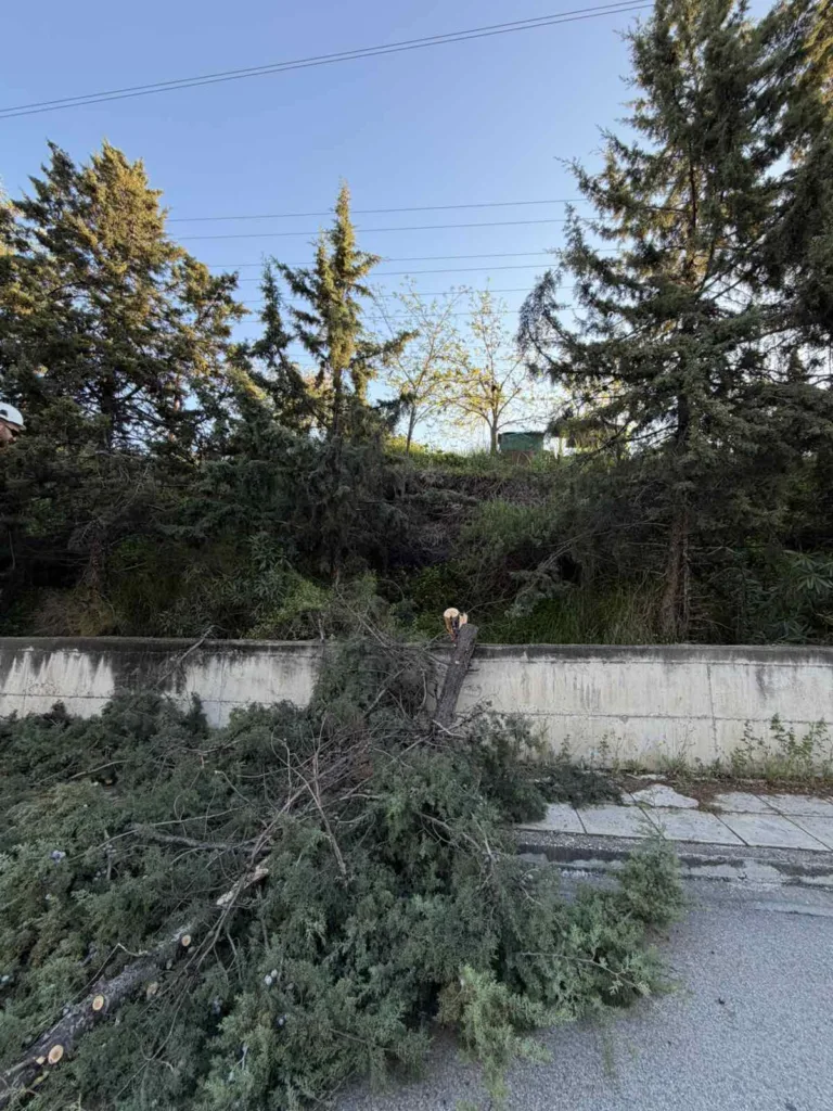 Πάτρα: Η Πολιτική Προστασία παρενέβη σε επικίνδυνα σημεία της Μικρής Περιμετρικής ΦΩΤΟ 26 Πάτρα: Η Πολιτική Προστασία παρενέβη σε επικίνδυνα σημεία της Μικρής Περιμετρικής ΦΩΤΟ
