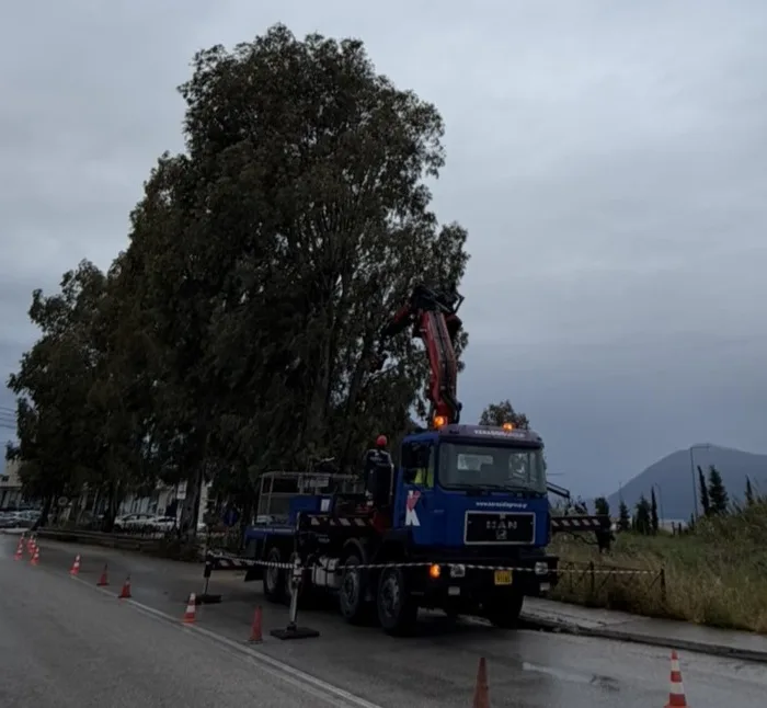 Ρίο: Επεσαν κλαδιά δέντρων - Επενέβη η Πολιτική Προστασία Αχαΐας ΦΩΤΟ