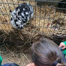 Τα Εκπαιδευτήρια «Αναγέννηση» πήγαν εκδρομή σε Φάρμα ΦΩΤΟ