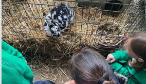 Τα Εκπαιδευτήρια «Αναγέννηση» πήγαν εκδρομή σε Φάρμα ΦΩΤΟ