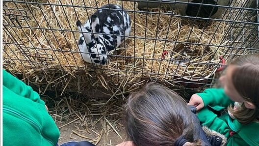 Τα Εκπαιδευτήρια «Αναγέννηση» πήγαν εκδρομή σε Φάρμα ΦΩΤΟ