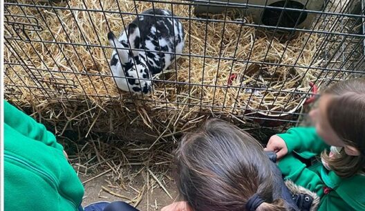 Τα Εκπαιδευτήρια «Αναγέννηση» πήγαν εκδρομή σε Φάρμα ΦΩΤΟ