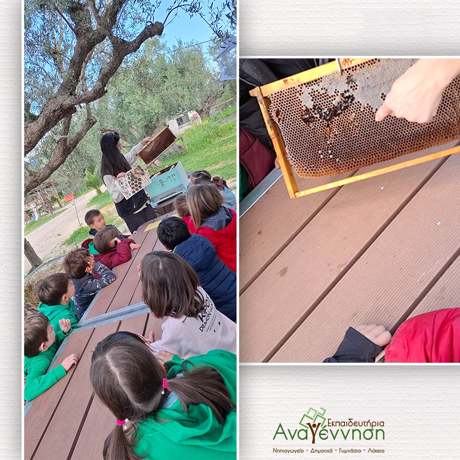 Τα Εκπαιδευτήρια «Αναγέννηση» πήγαν εκδρομή σε Φάρμα ΦΩΤΟ