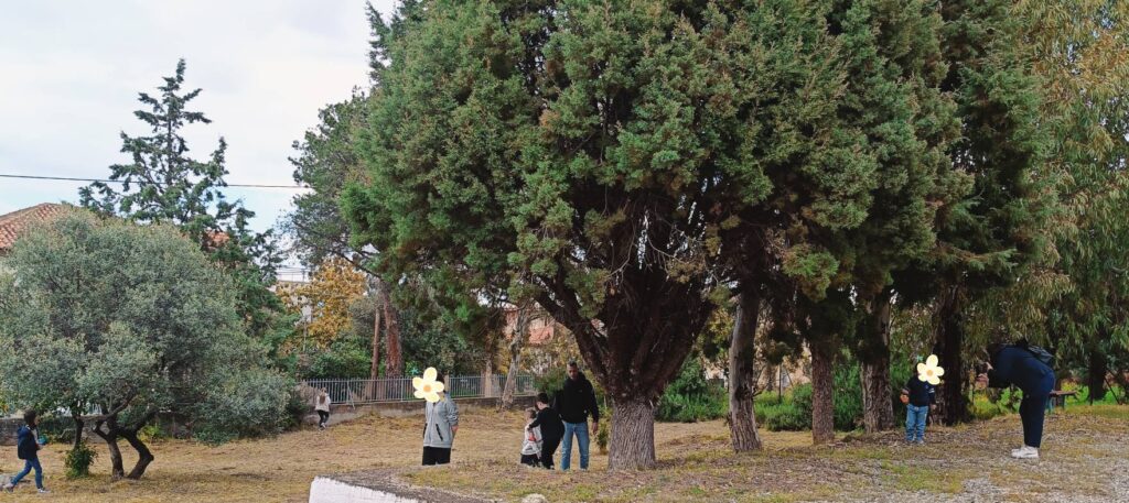 Μια μέρα γεμάτη ζωή στην Τράπεζα από τον Σύλλογο Γυναικών «Σύβαρις» ΦΩΤΟ
