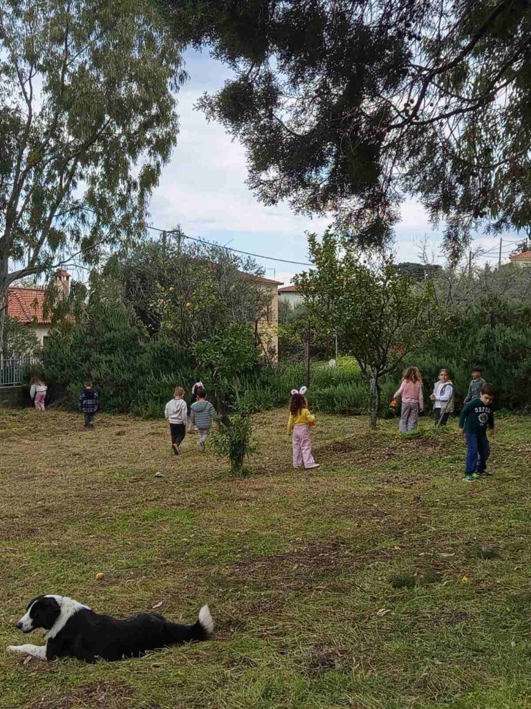 Μια μέρα γεμάτη ζωή στην Τράπεζα από τον Σύλλογο Γυναικών «Σύβαρις» ΦΩΤΟ