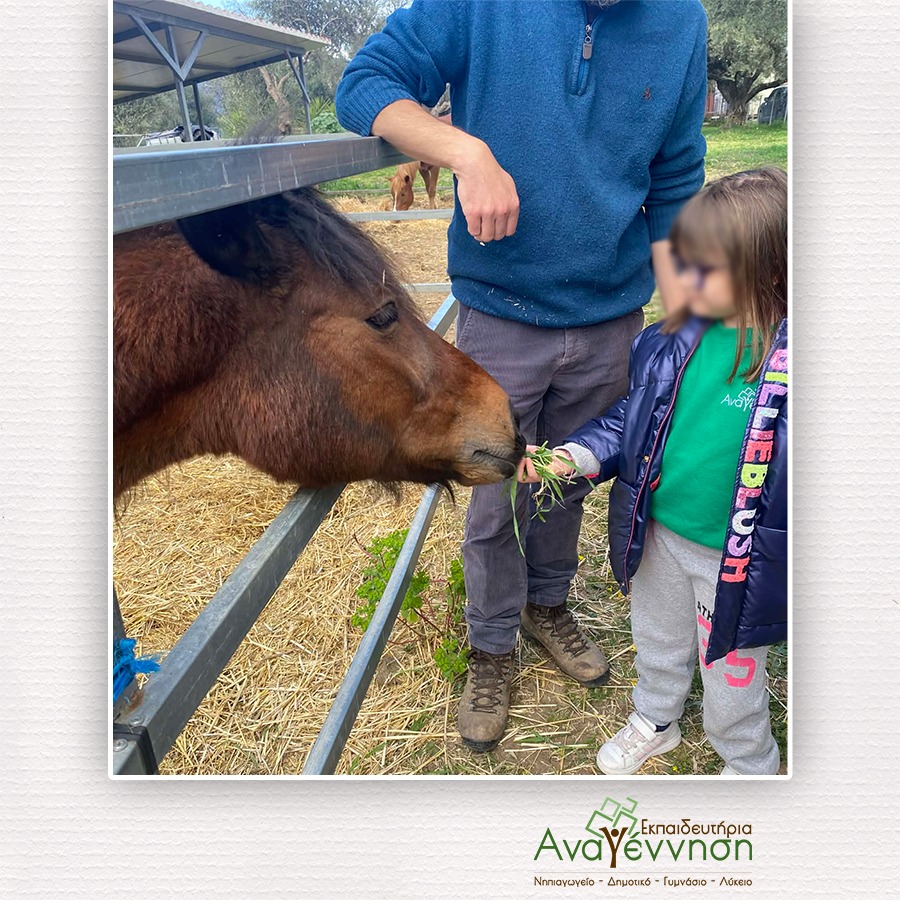 Τα Εκπαιδευτήρια «Αναγέννηση» πήγαν εκδρομή σε Φάρμα ΦΩΤΟ 27 Τα Εκπαιδευτήρια «Αναγέννηση» πήγαν εκδρομή σε Φάρμα ΦΩΤΟ