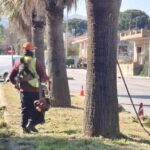 Καθαρισμός νησίδων από τον «Φάρο» ΚΟΙΣΠΕ για την Περιφέρεια ΦΩΤΟ