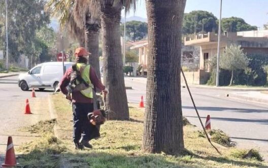 Καθαρισμός νησίδων από τον «Φάρο» ΚΟΙΣΠΕ για την Περιφέρεια ΦΩΤΟ