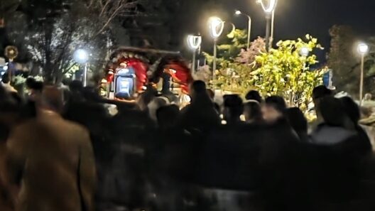 Η περιφορά του Επιταφίου στην Πανεπιστημιούπολη Ρίου ΦΩΤΟ