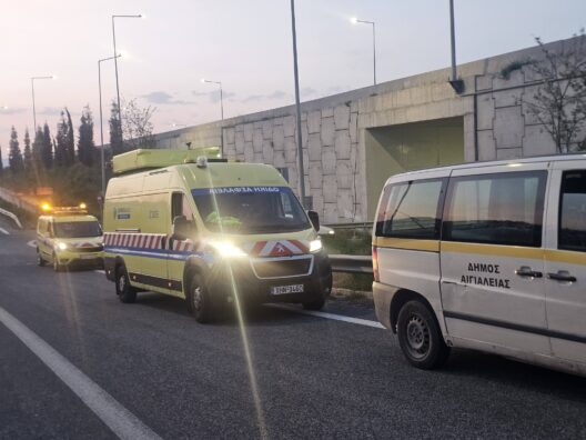 Αχαΐα: Εστησαν επιχείρηση γα να σώσουν κουτάβι στην Εθνική ΦΩΤΟ