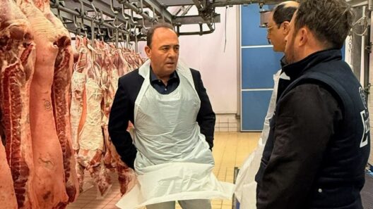 Αχαΐα: Αυστηρά μέτρα στα Σφαγεία και επάρκεια στη Αγορά Κρέατος ΦΩΤΟ