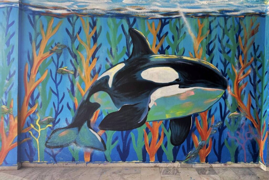 Νέα τοιχογραφία στο Σχολικό Συγκρότημα «Δροσιάς», στην Πάτρα ΦΩΤΟ