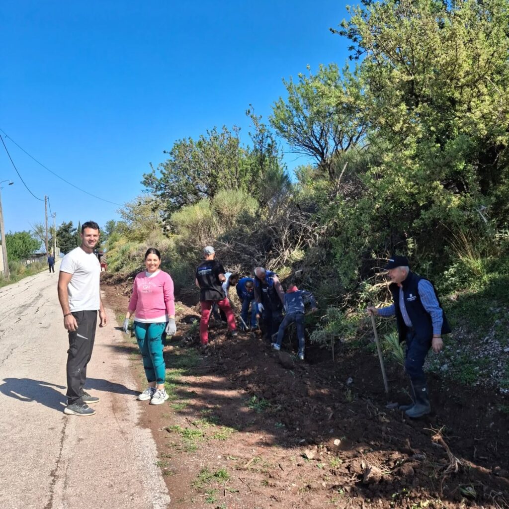 Φύτευση δενδρυλλίων από τους Απανταχού Καλουσιώτες ΦΩΤΟ