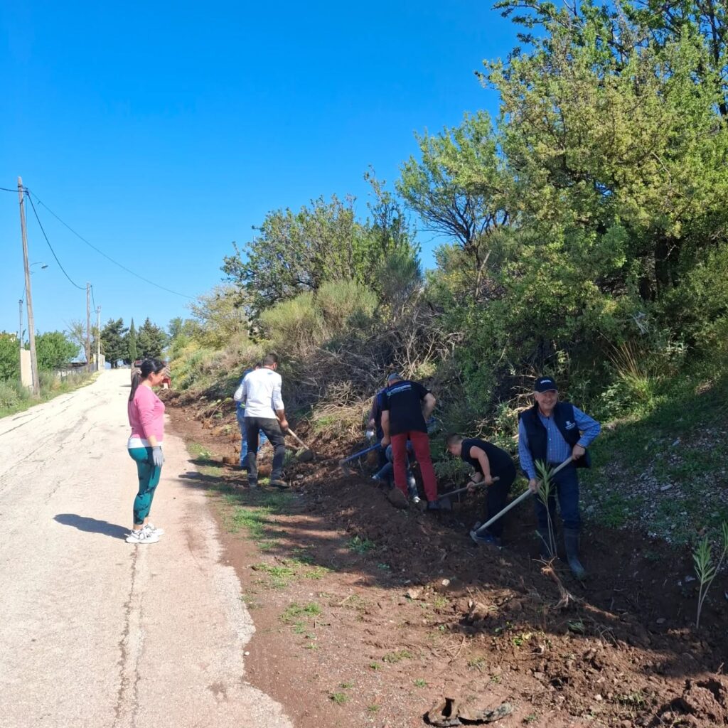 Φύτευση δενδρυλλίων από τους Απανταχού Καλουσιώτες ΦΩΤΟ