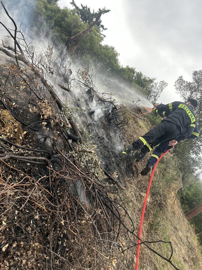Πάτρα: Πυρκαγιά στο Γηροκομειό - Σε δύσβατο σημείο ΦΩΤΟ