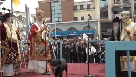 Αίγιο: Ενας σκύλος «έκλεψε την παράσταση» στην Παναγία Τρυπητή - Η αντίδραση του Μητροπολίτη ΒΙΝΤΕΟ