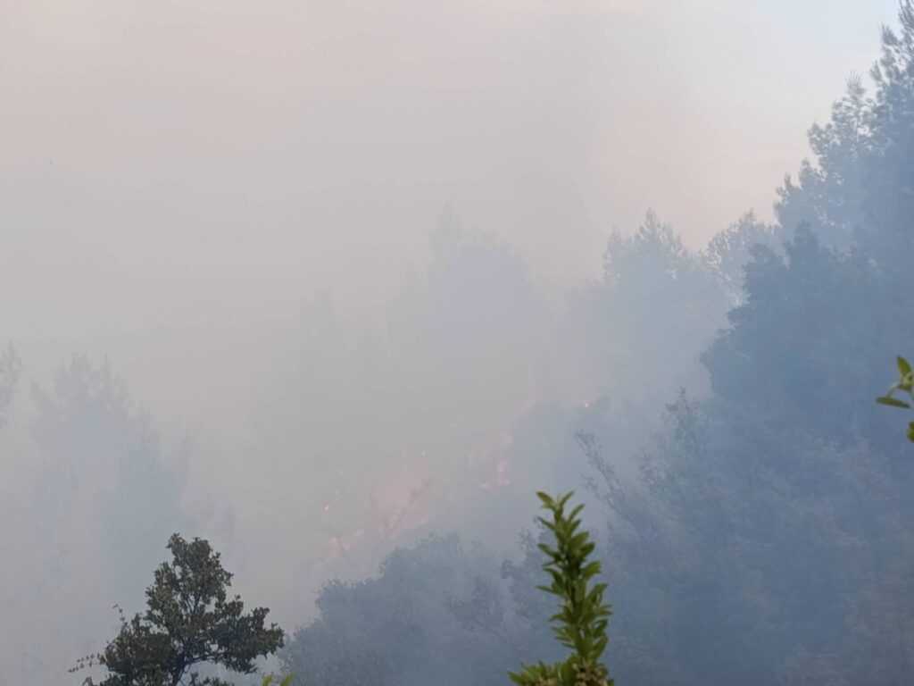 Aχαΐα: Η Πυροσβεστική για την πυρκαγιά στην Ακράτα και τον συλληφθέντα - ΝΕΕΣ ΦΩΤΟ