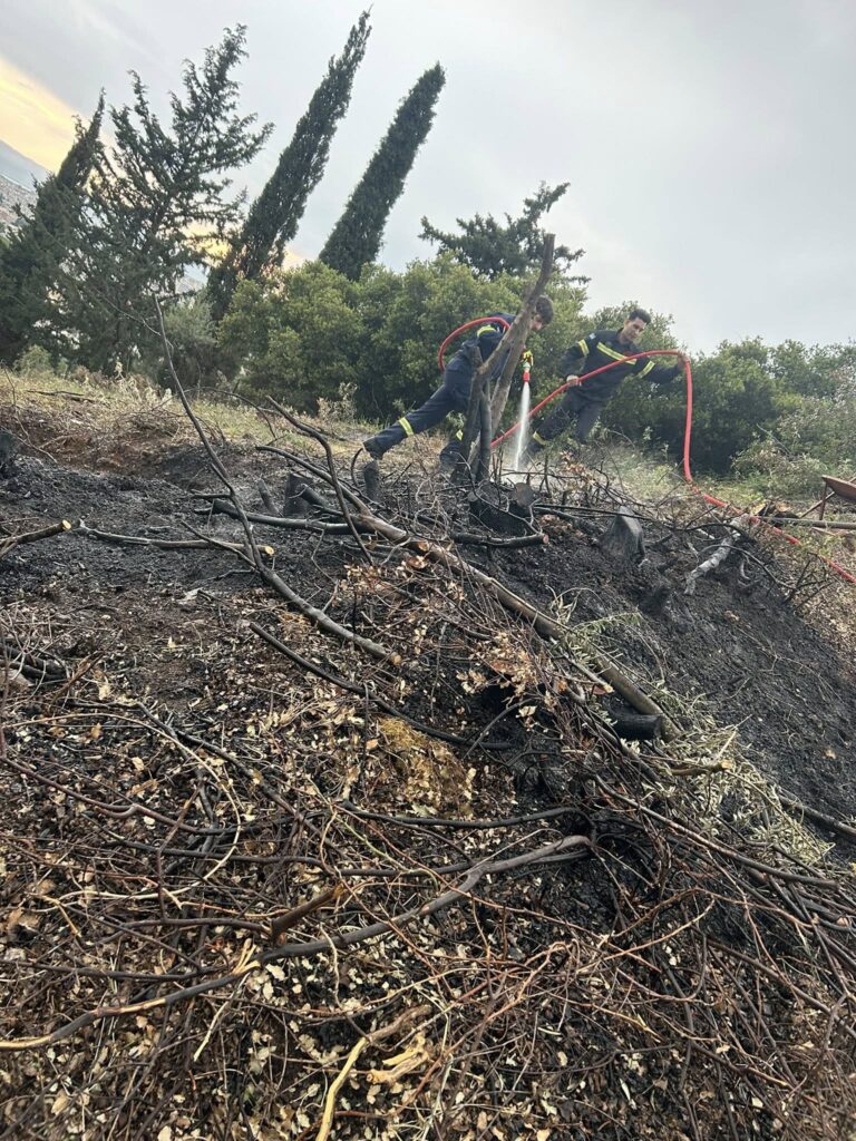 Πάτρα: Πυρκαγιά στο Γηροκομειό - Σε δύσβατο σημείο ΦΩΤΟ