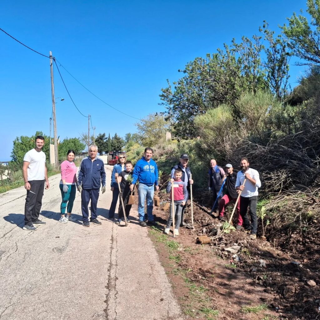 Φύτευση δενδρυλλίων από τους Απανταχού Καλουσιώτες ΦΩΤΟ