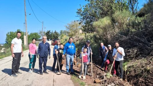 Φύτευση δενδρυλλίων από τους Απανταχού Καλουσιώτες ΦΩΤΟ