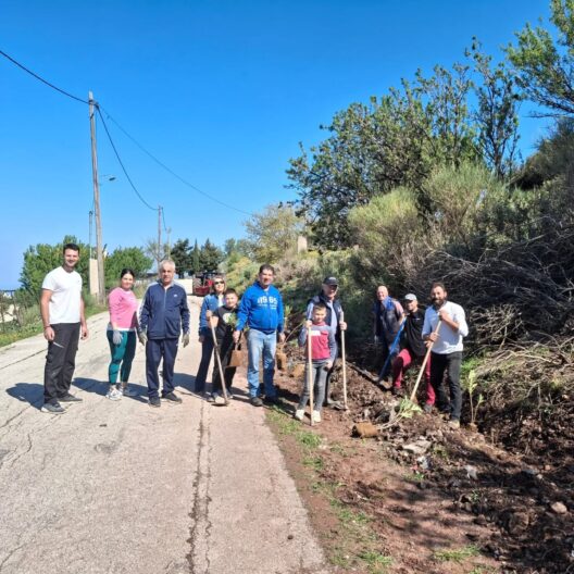 Φύτευση δενδρυλλίων από τους Απανταχού Καλουσιώτες ΦΩΤΟ