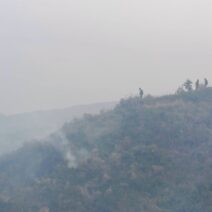 Aχαΐα: Η Πυροσβεστική για την πυρκαγιά στην Ακράτα και τον συλληφθέντα - Φωτογραφίες από το πεδίο