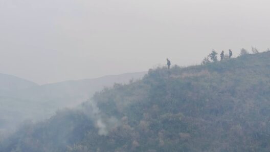 Aχαΐα: Η Πυροσβεστική για την πυρκαγιά στην Ακράτα και τον συλληφθέντα - Φωτογραφίες από το πεδίο