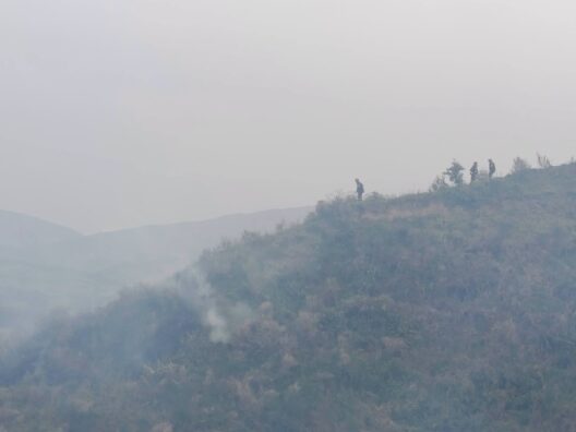 Aχαΐα: Η Πυροσβεστική για την πυρκαγιά στην Ακράτα και τον συλληφθέντα - ΝΕΕΣ ΦΩΤΟ