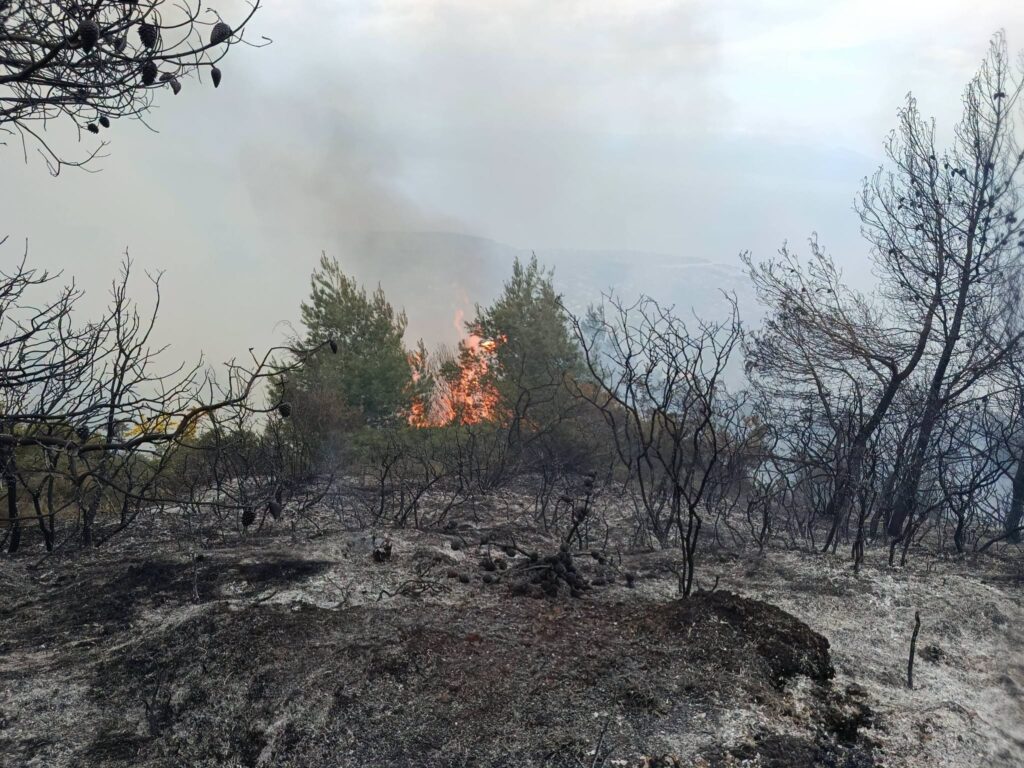 Aχαΐα: Η Πυροσβεστική για την πυρκαγιά στην Ακράτα και τον συλληφθέντα - ΝΕΕΣ ΦΩΤΟ