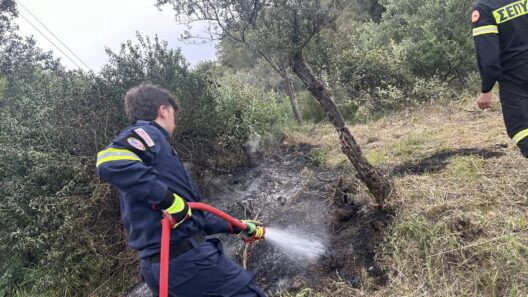 Πάτρα: Πυρκαγιά στο Γηροκομειό - Σε δύσβατο σημείο ΦΩΤΟ